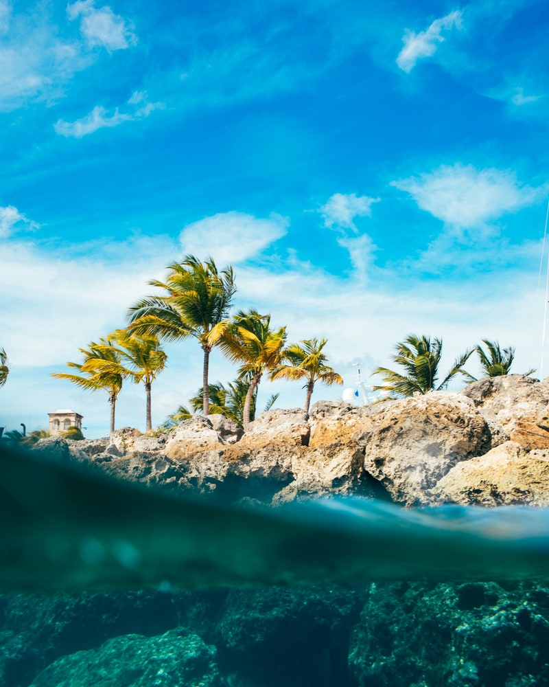 La costa rocciosa di Barbados tra palme e acqua caraibica trasparente