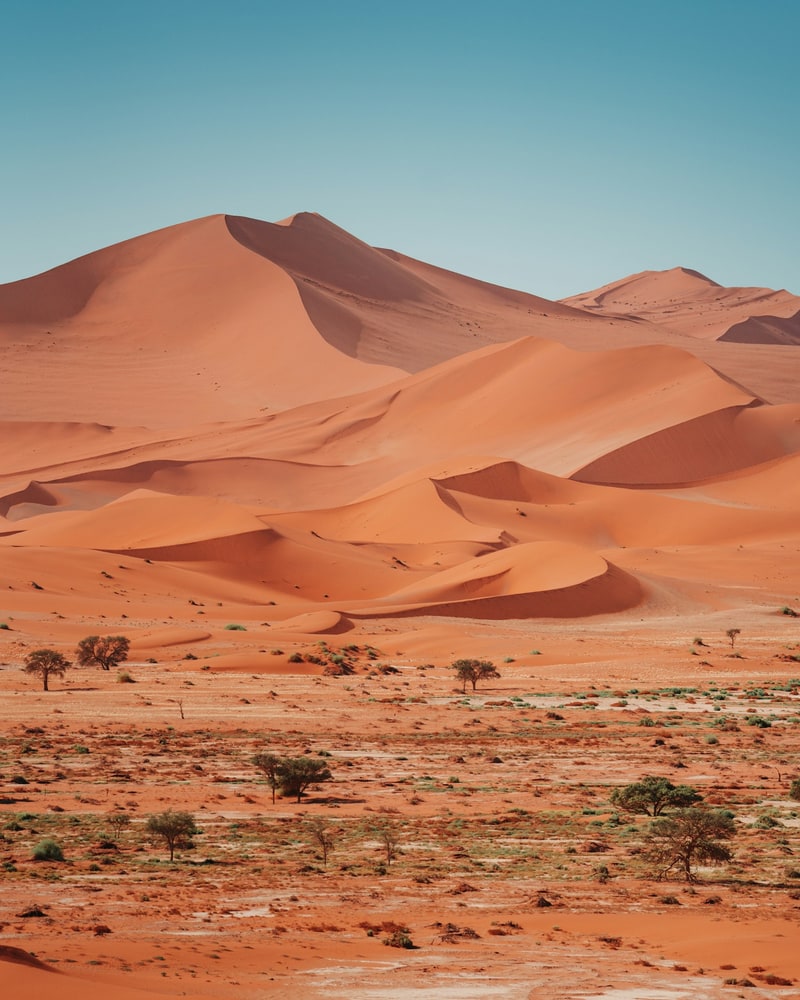 Le dune color rame di Sossusvlei sotto un cielo terso, in Namibia