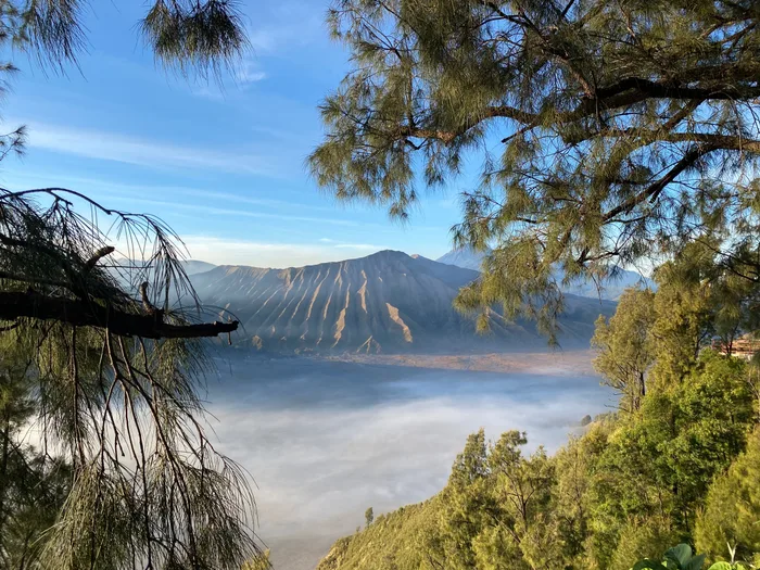Un paesaggio vulcanico tra nebbia e vegetazione