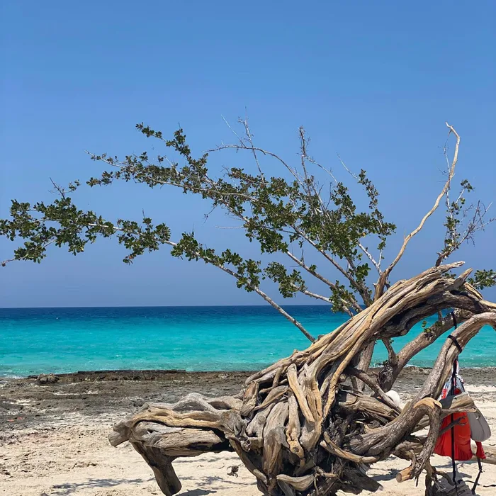 Una spiaggia tropicale affacciata sul mare turchese